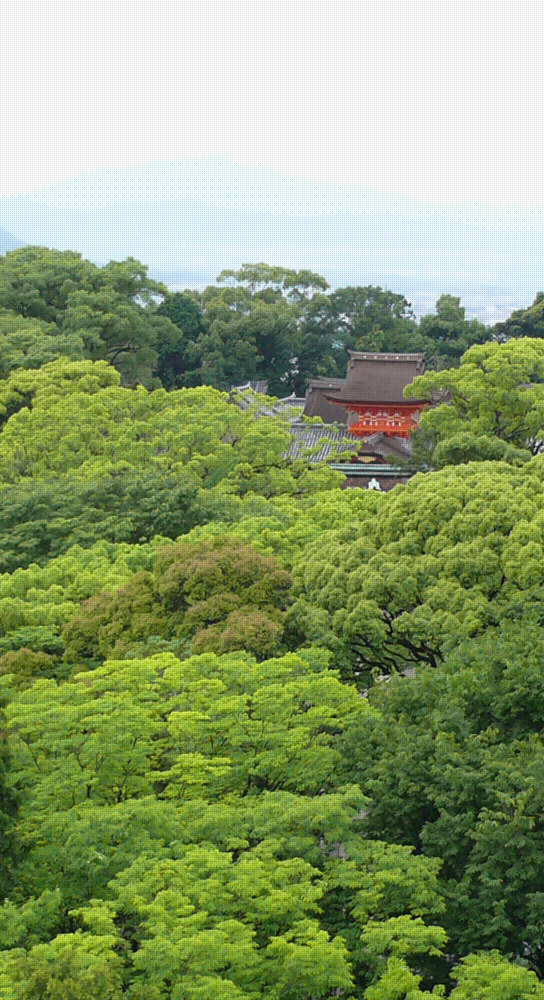 石清水スカウト育成会